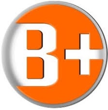Partner 1